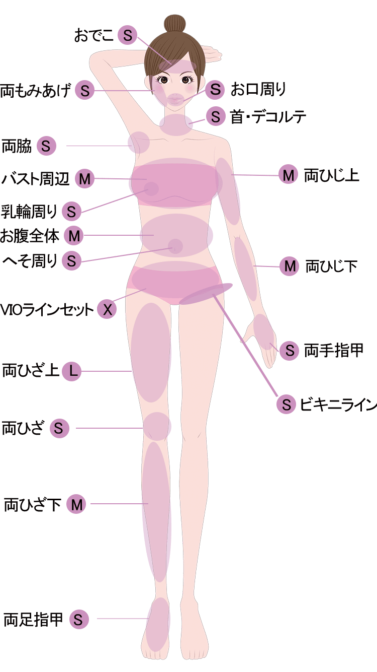 女性部位別表1