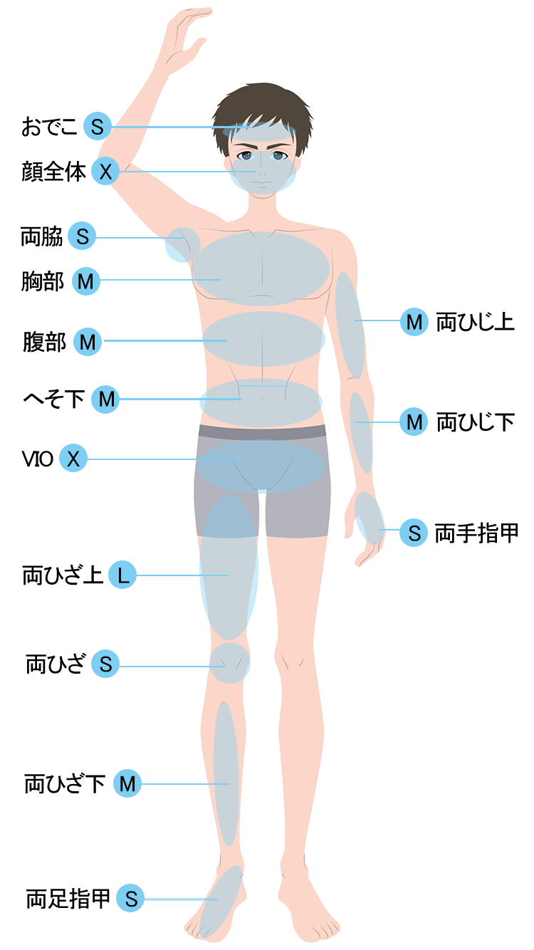 男性部位別表1