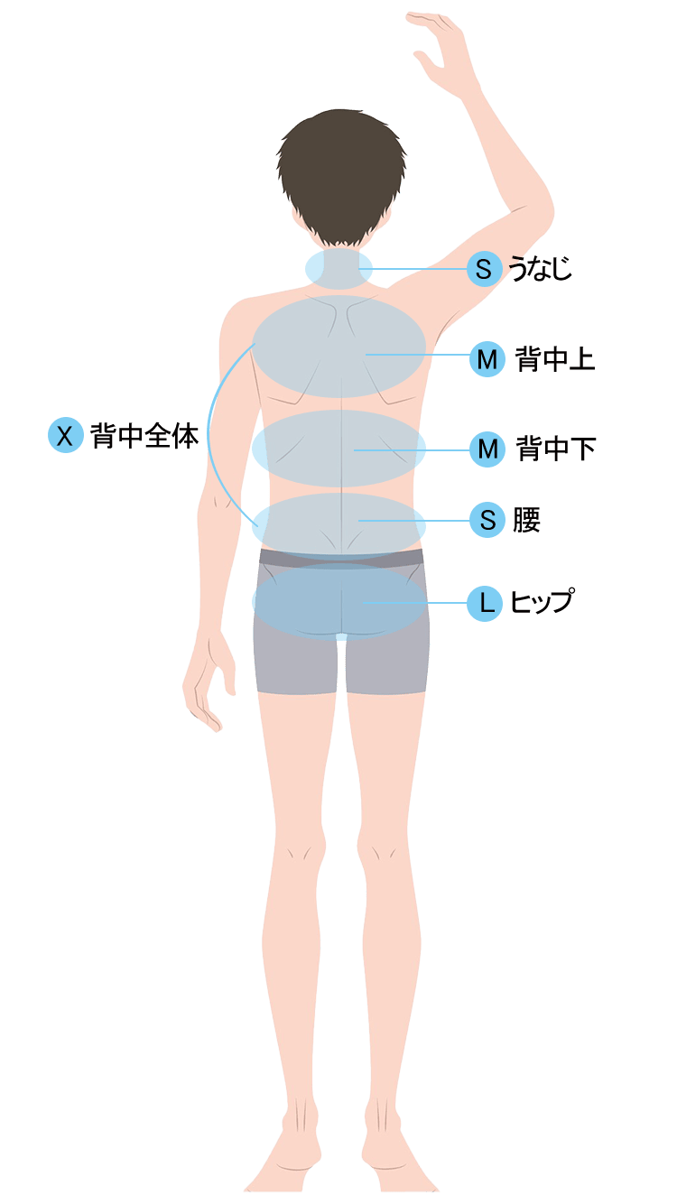 男性部位別表2