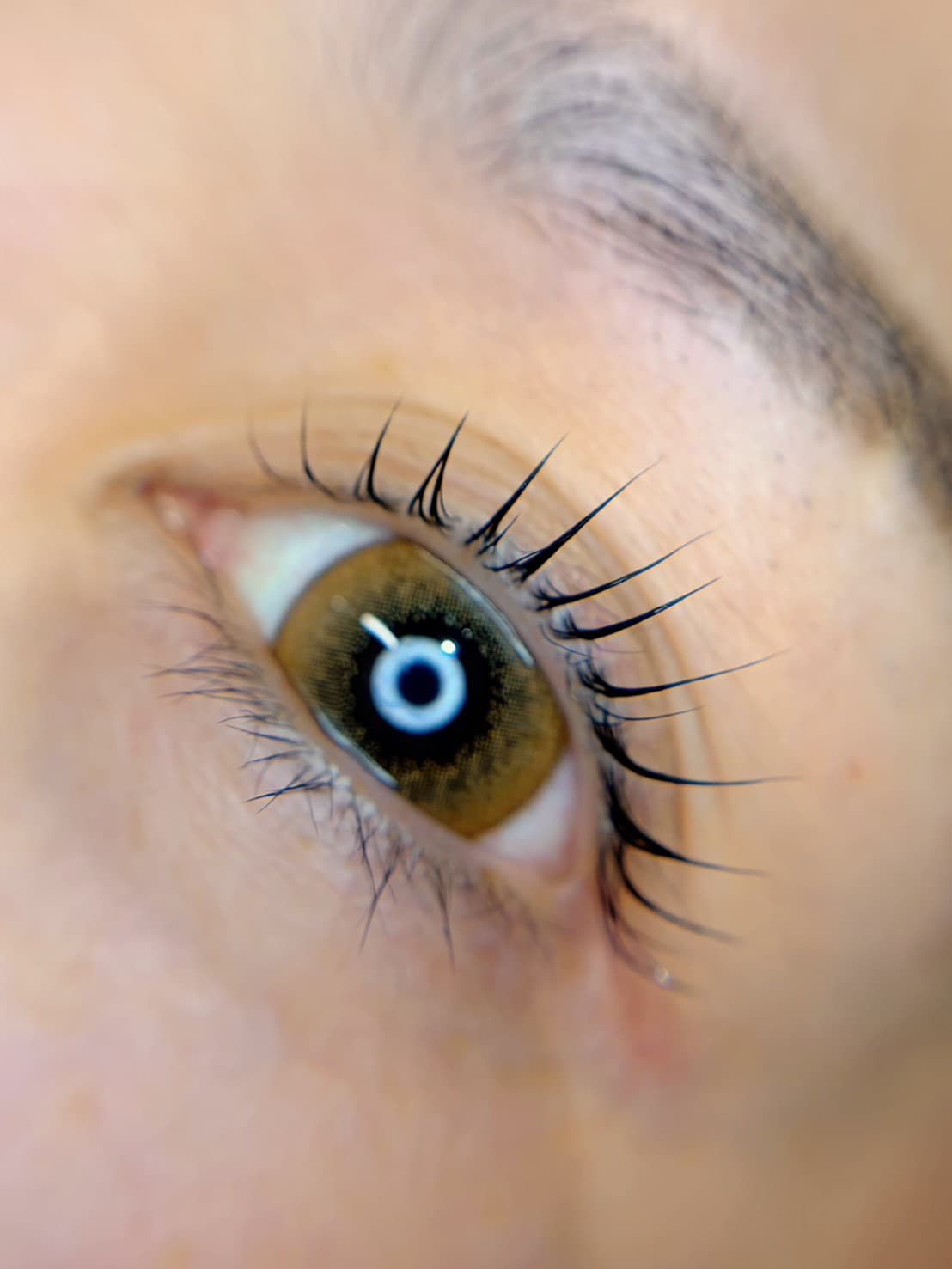 片目のアップ写真。きれいにまつ毛がカールしている